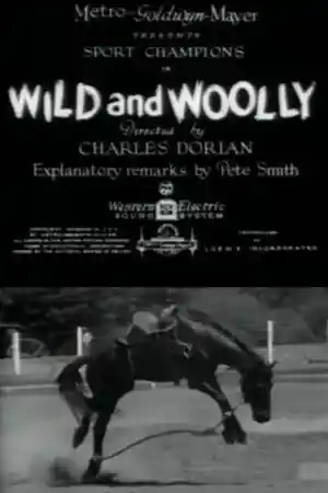 Wild and Woolly