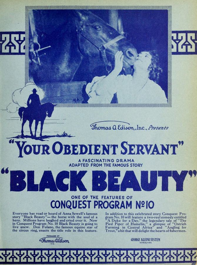 Black Beauty