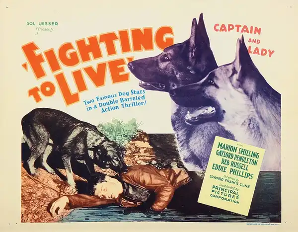 Fighting to Live