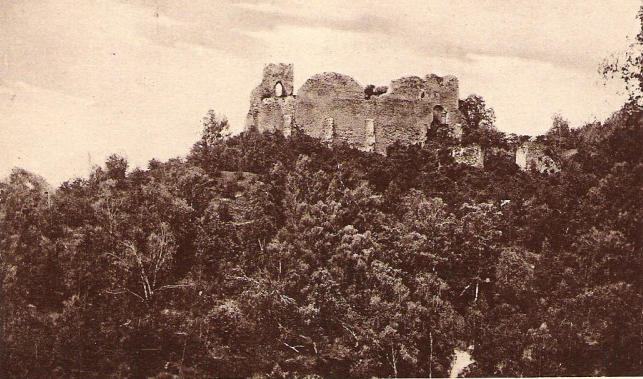 Cetatea Neamtului