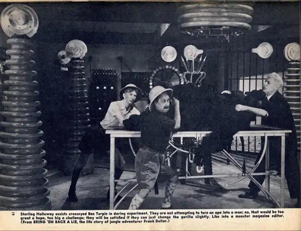 Bring 'Em Back a Lie