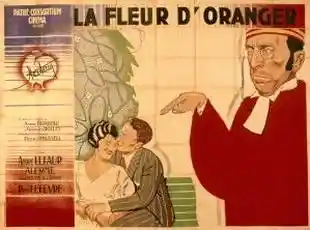 La fleur d'oranger