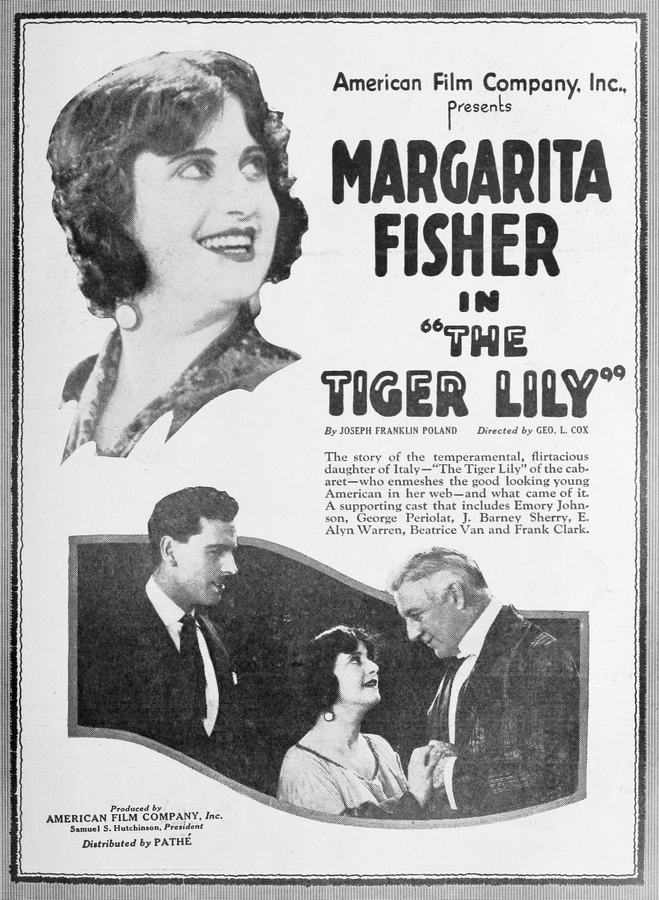 The Tiger Lily