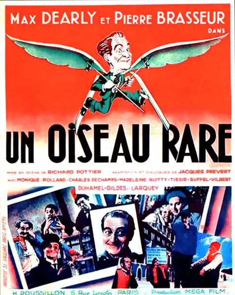 Un oiseau rare