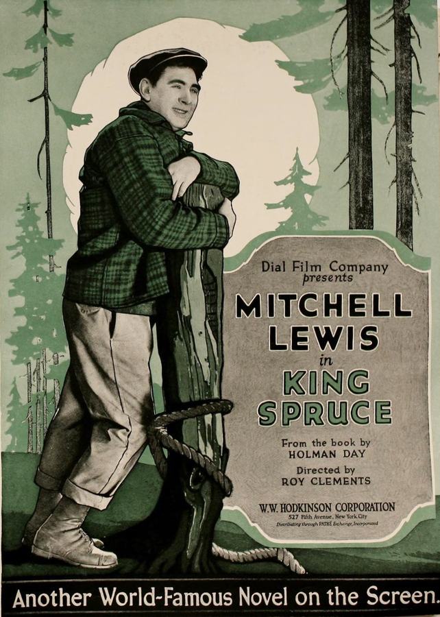 King Spruce