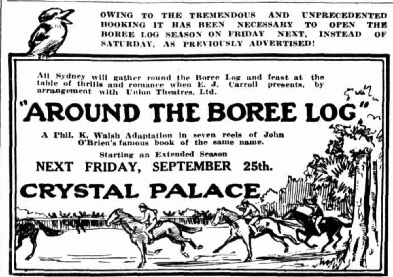Around the Boree Log