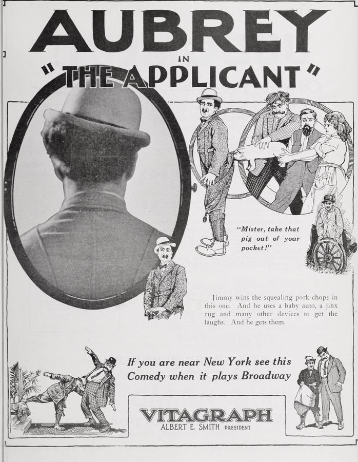 The Applicant