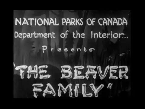 The Beaver Family