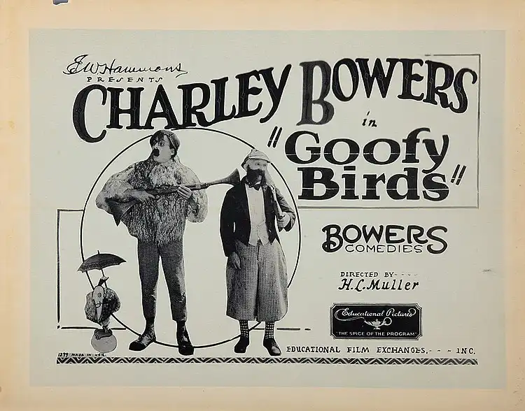 Goofy Birds
