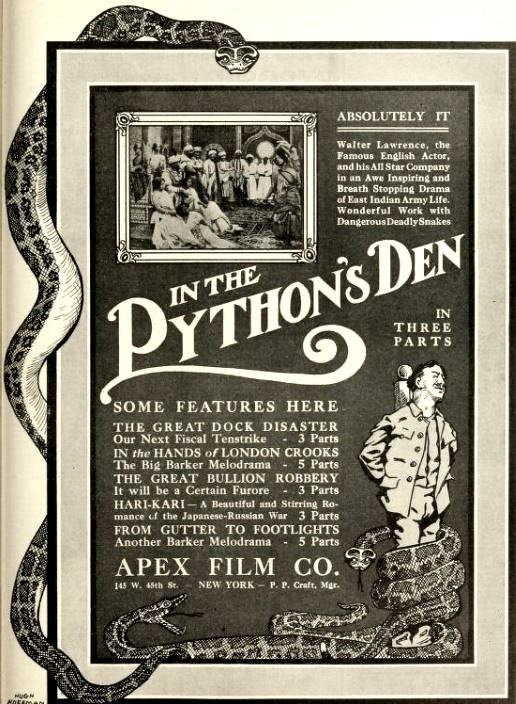 In the Python's Den