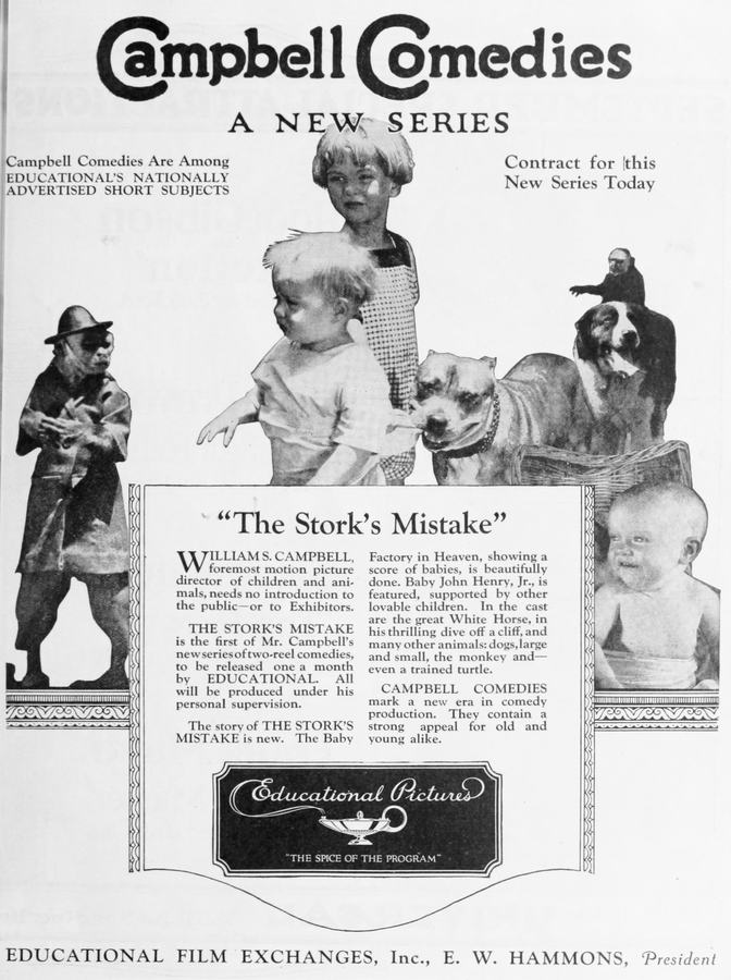 The Stork's Mistake