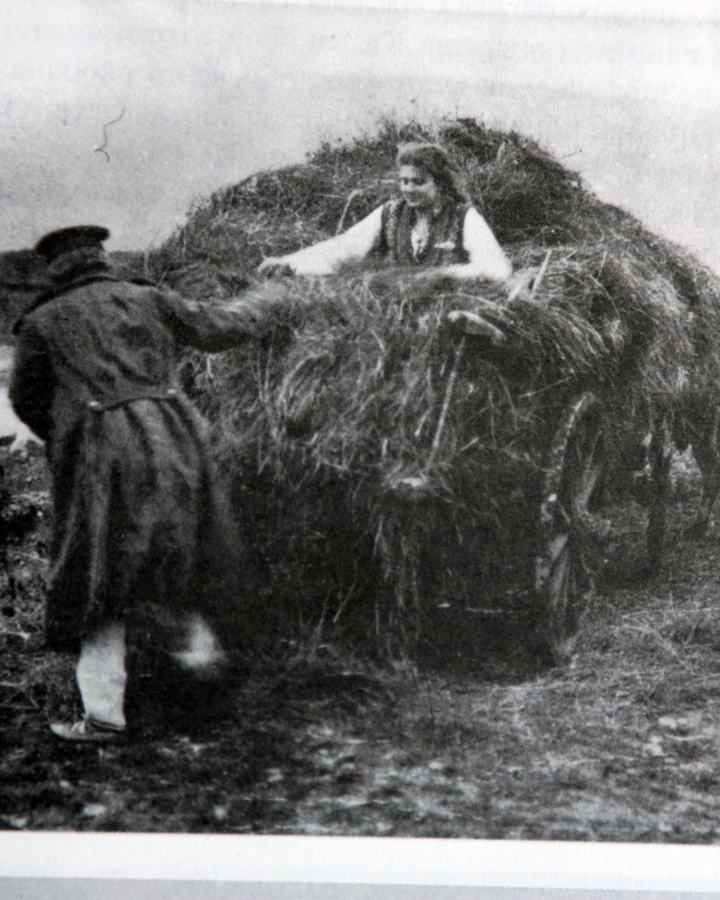 Dezata na Balkana