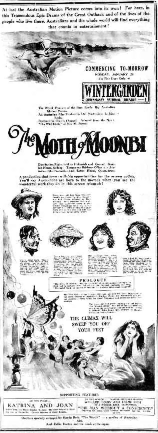 The Moth of Moonbi
