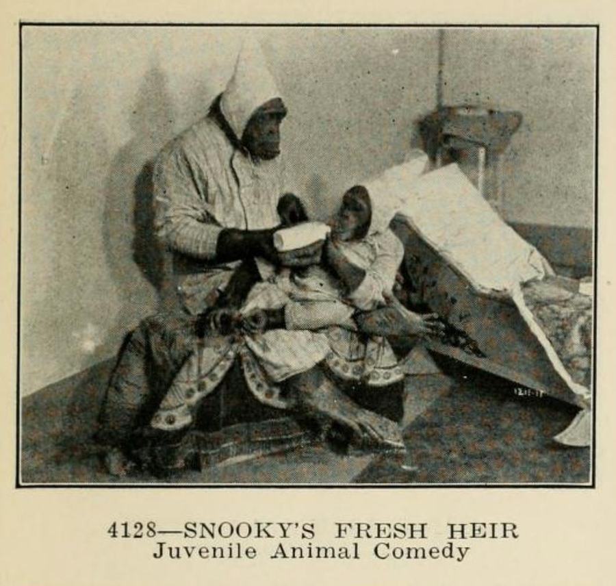 Snooky's Fresh Heir