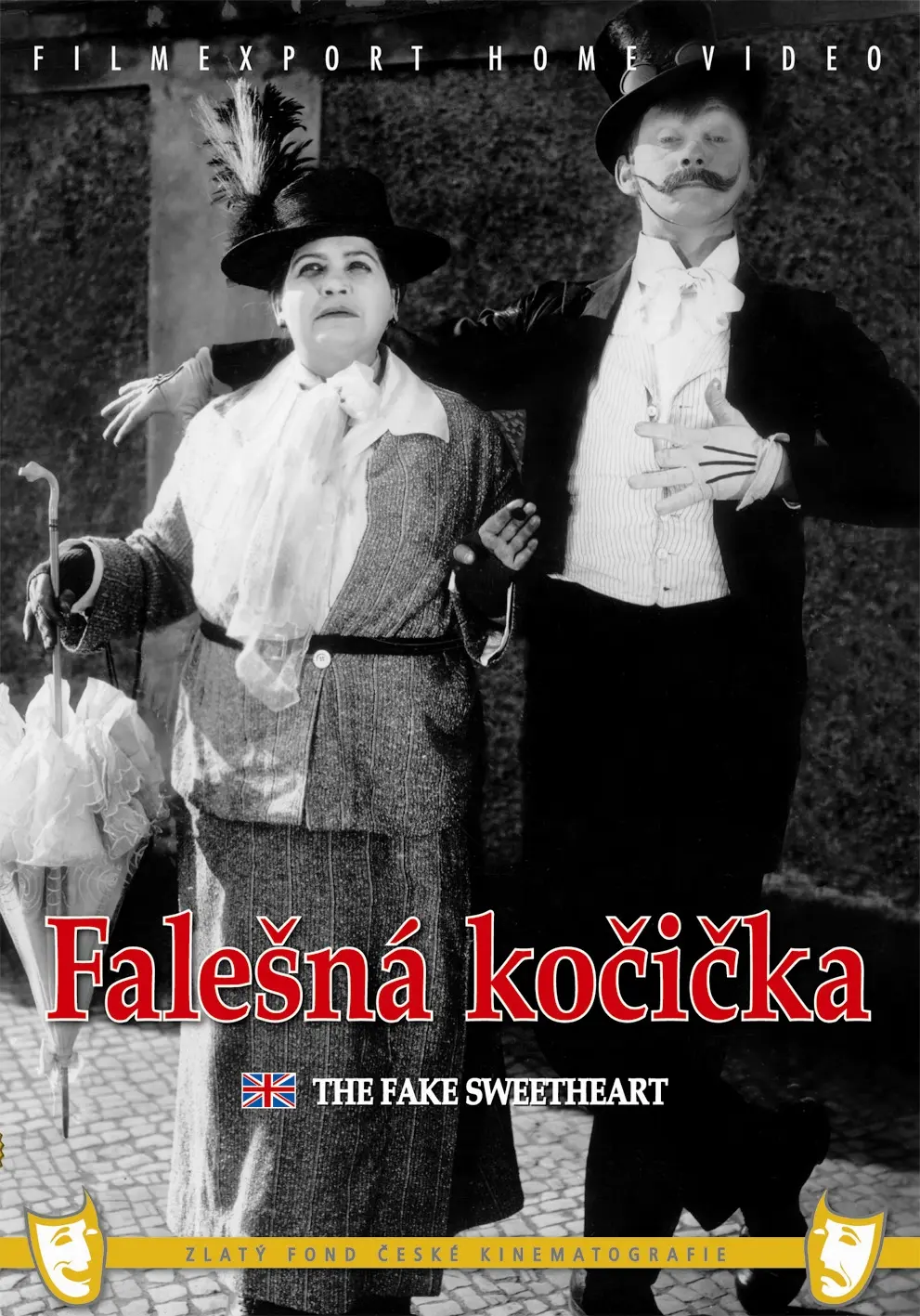 Falesná kocicka aneb Kdyz si zena umíní