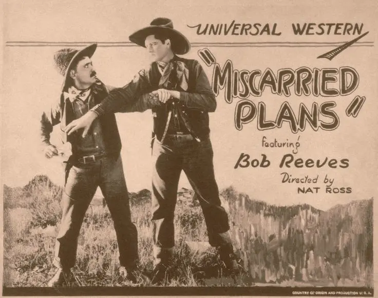 Miscarried Plans