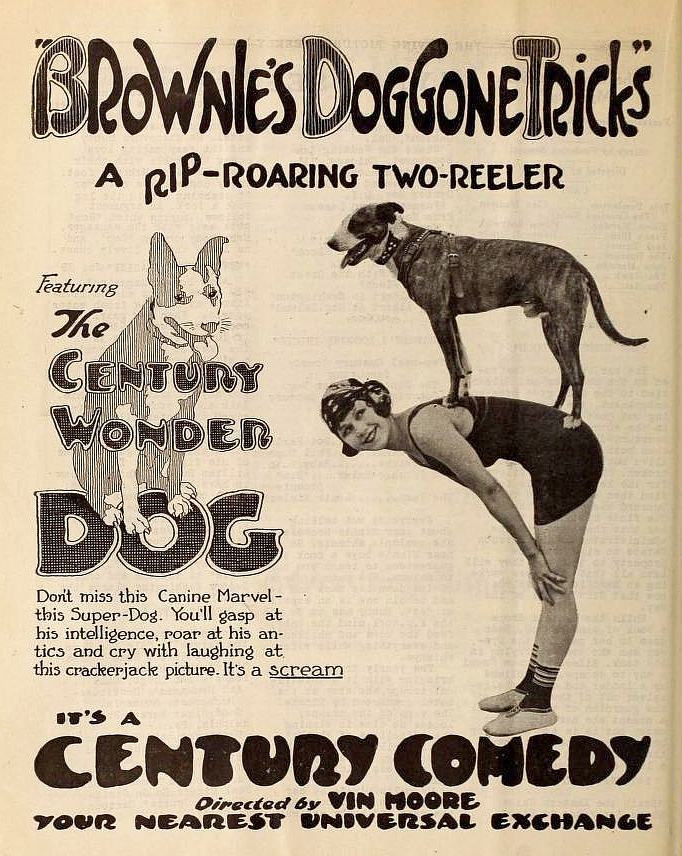 Brownie's Doggone Tricks