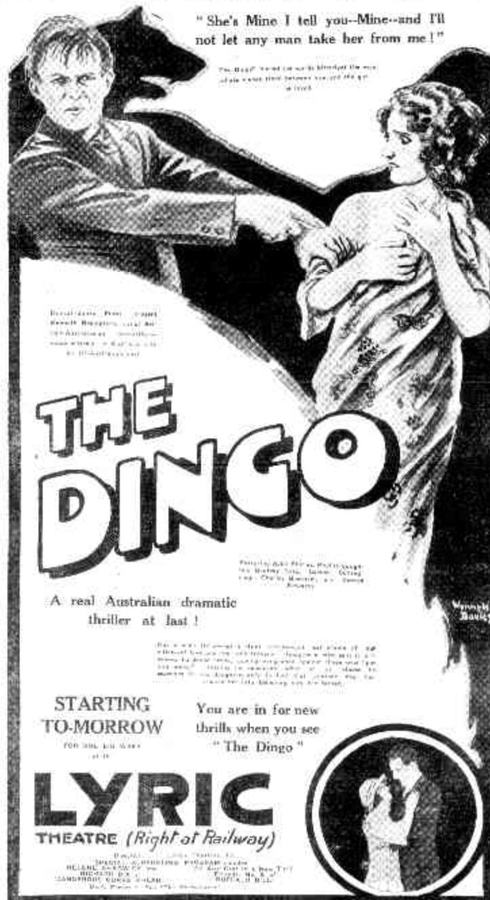 The Dingo