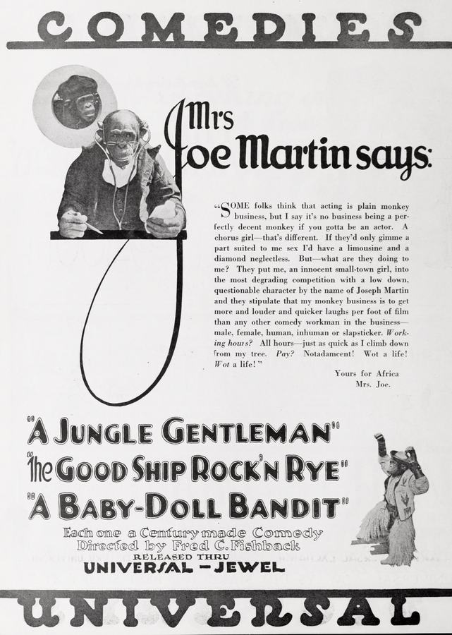 A Jungle Gentleman scene