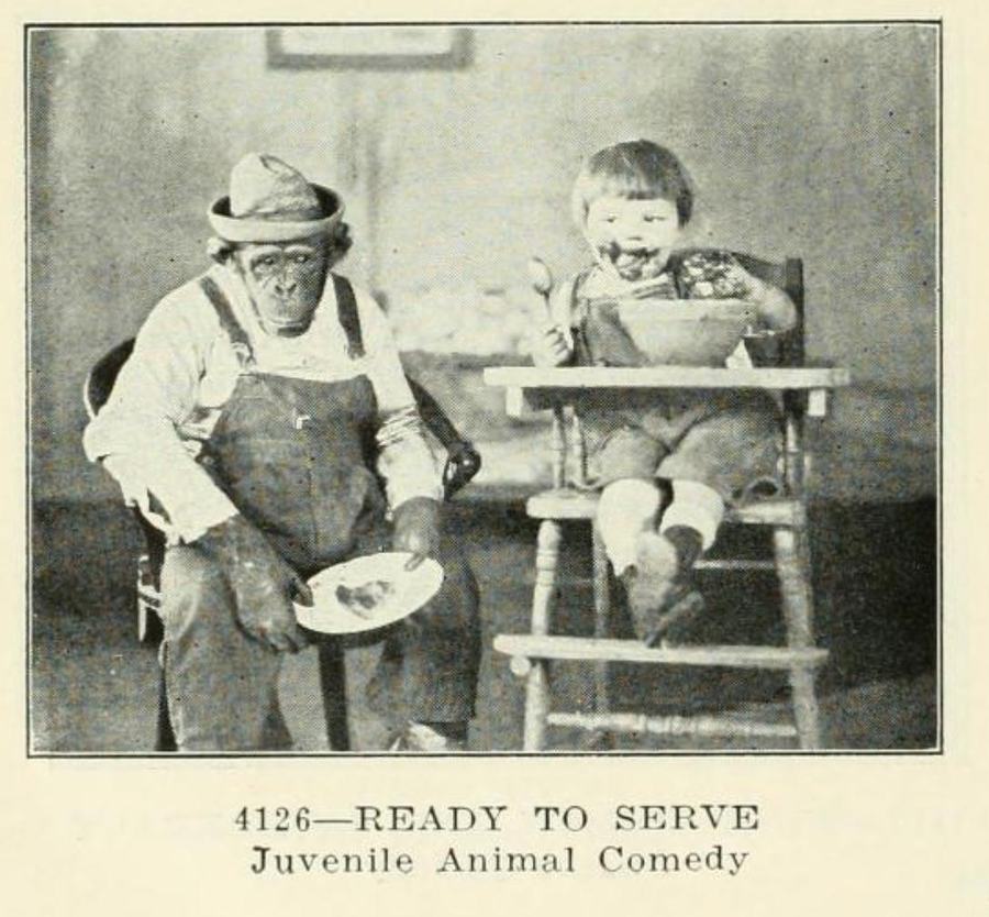 Ready to Serve