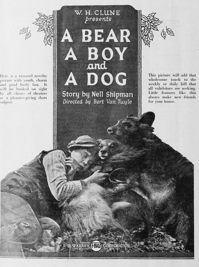 A Bear, a Boy and a Dog