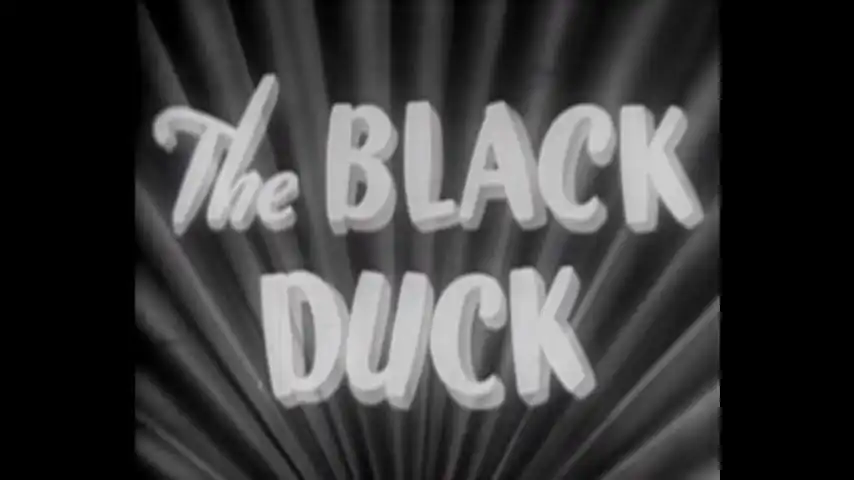 The Black Duck