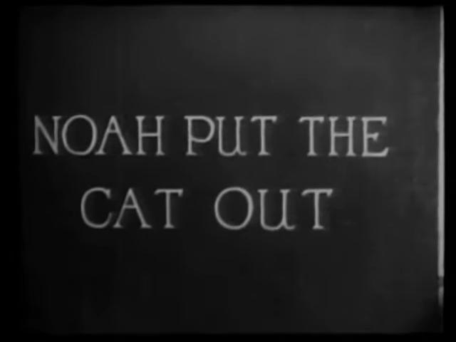 Noah Put the Cat Out