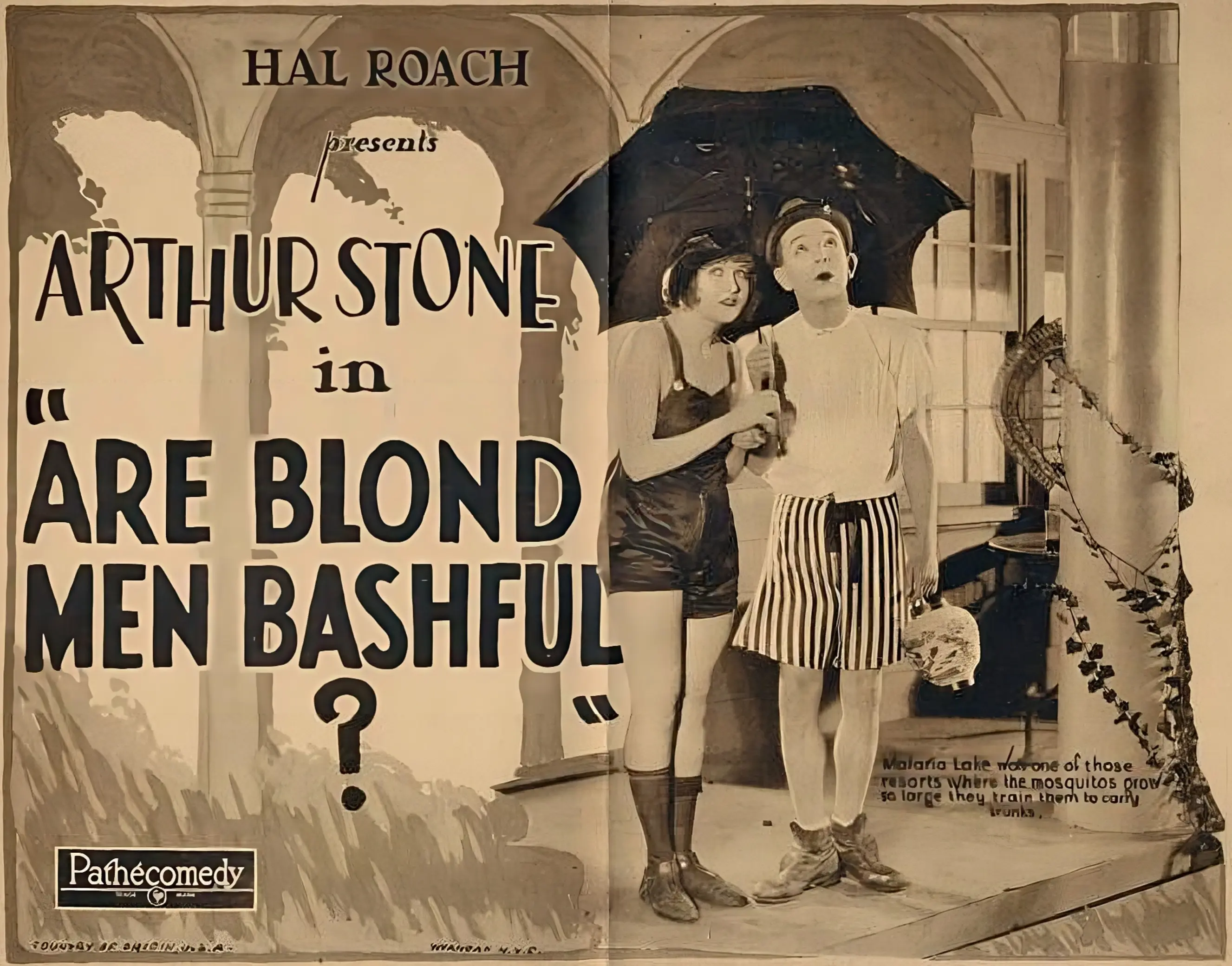Are Blonde Men Bashful?