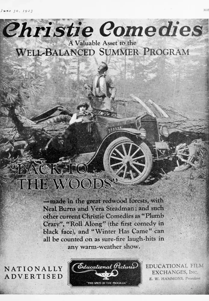 Back to the Woods