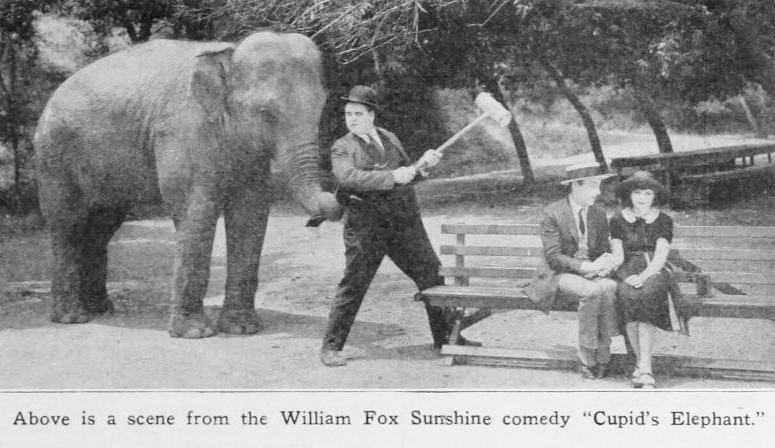 Cupid's Elephant