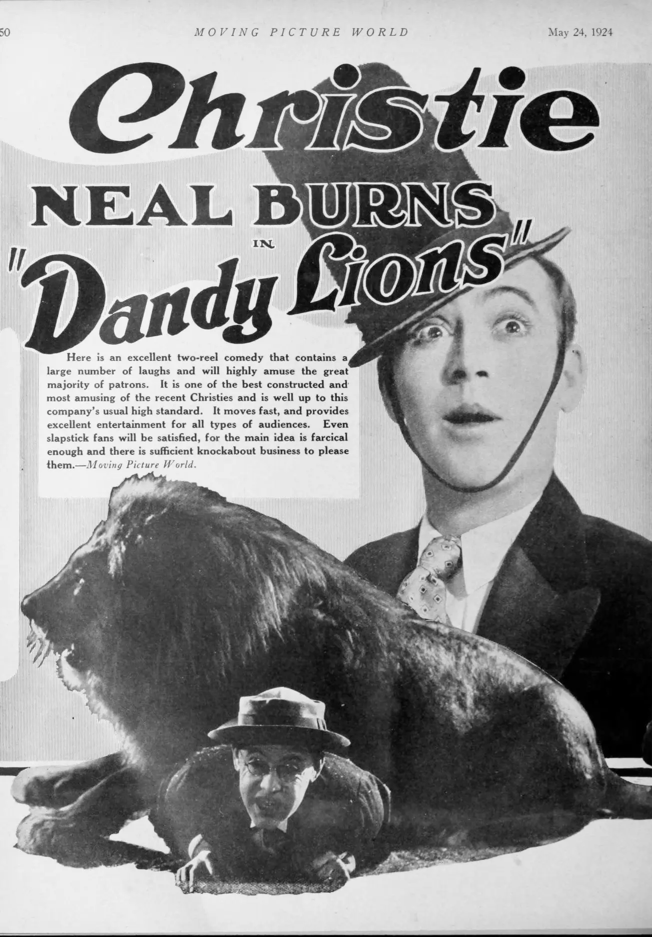 Dandy Lions