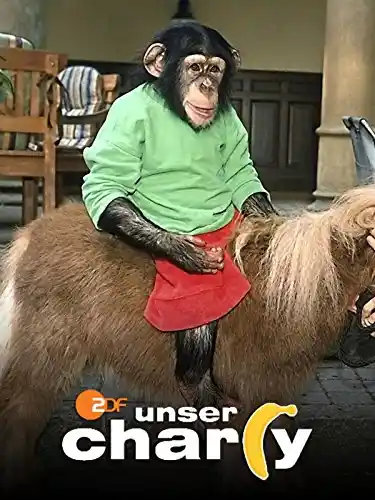 Fahrerflucht
