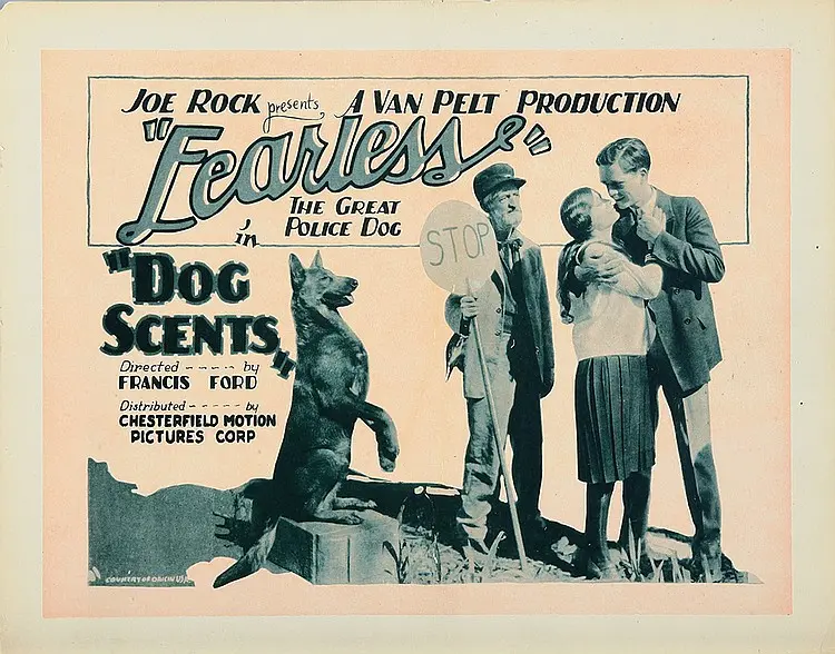Dog Scents