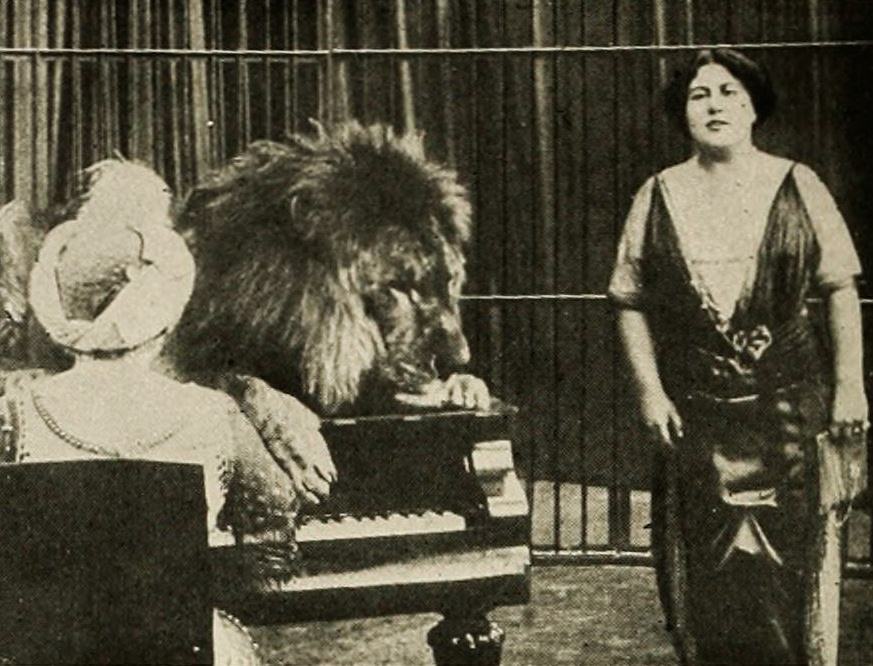 The Lion's Bride