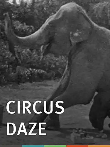 Circus Daze