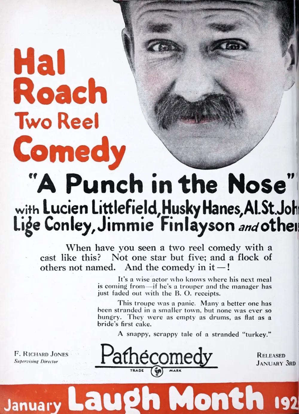 A Punch in the Nose