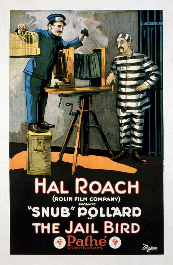 The Jail Bird