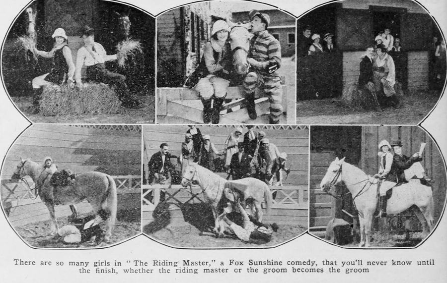 The Riding Master