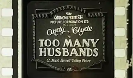 Too Many Husbands
