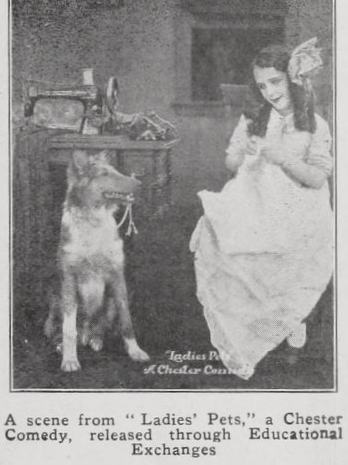Ladies' Pets