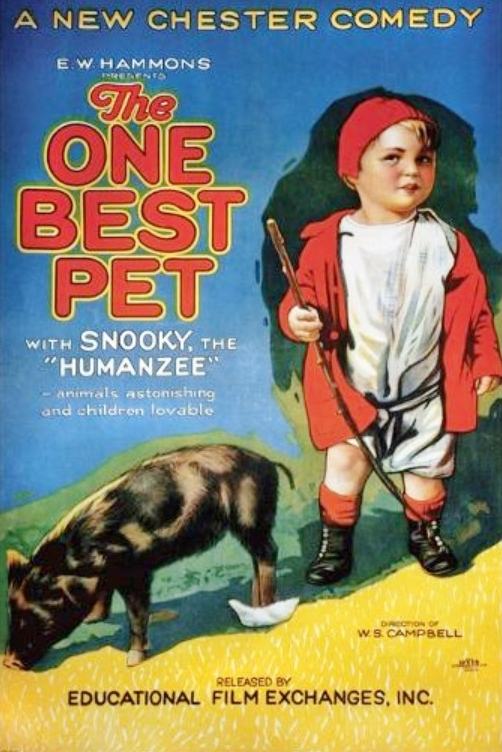 The One Best Pet