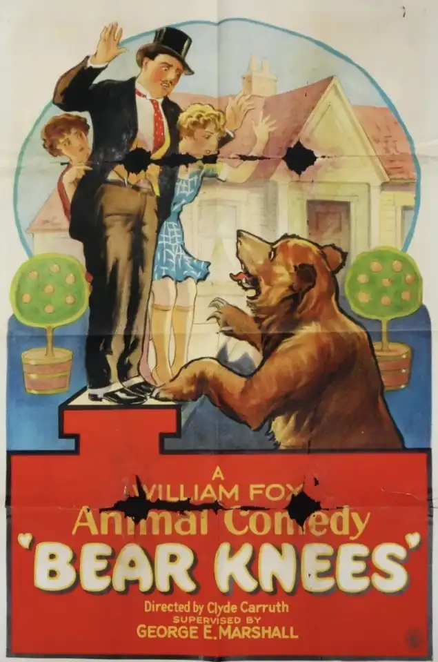 Bear Knees