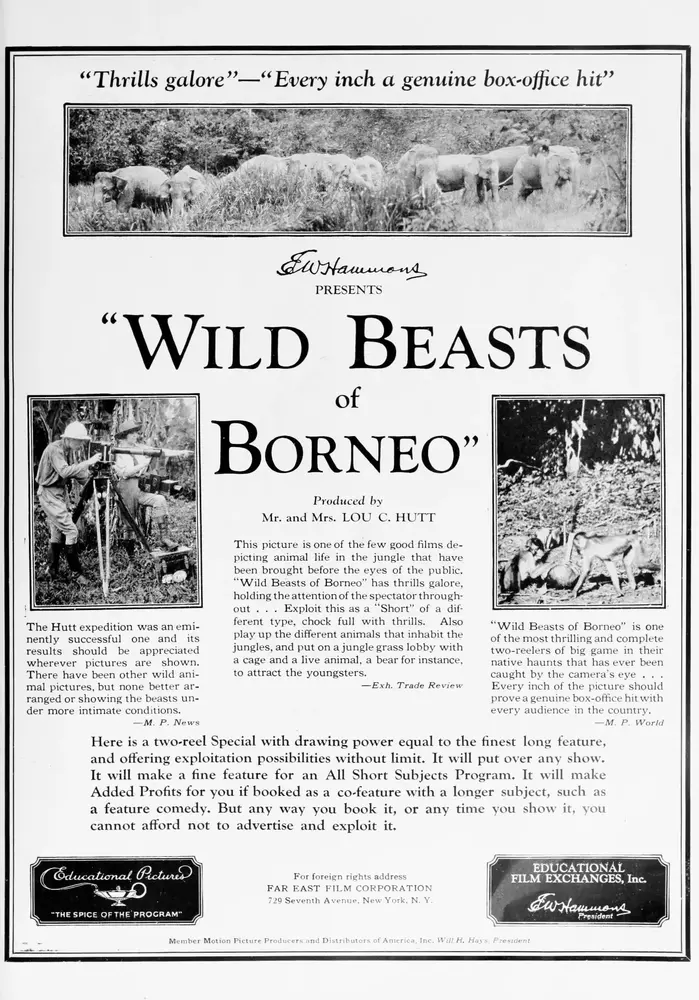 Wild Beasts of Borneo