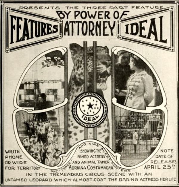 By Power of Attorney