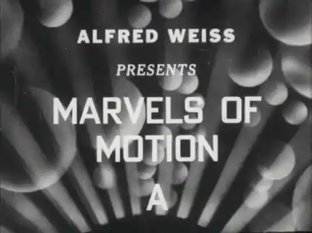 Marvels of Motion: A