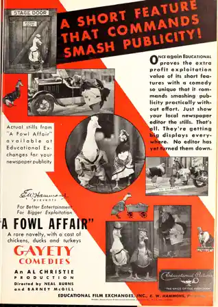 A Fowl Affair