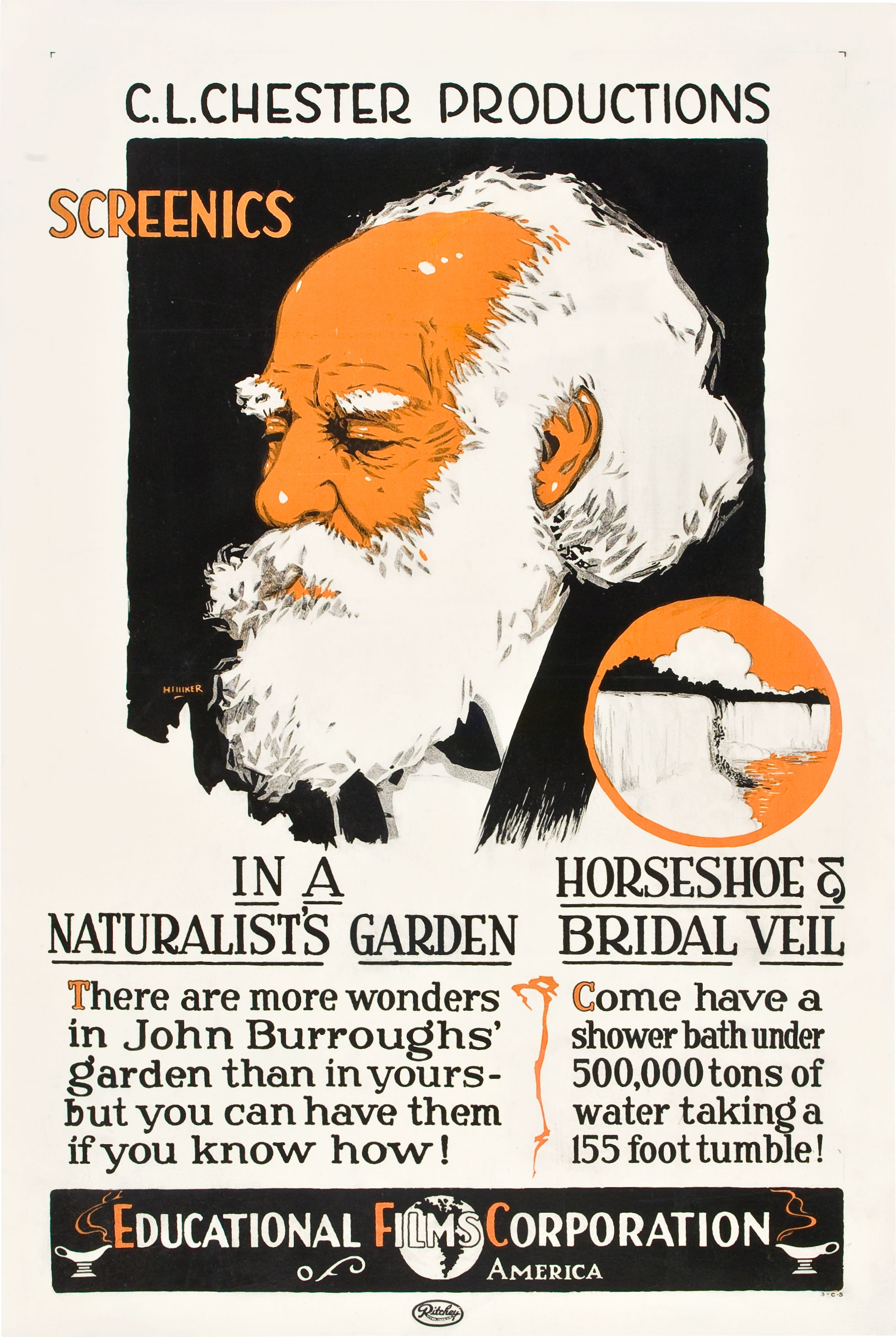 In a Naturalist's Garden scene