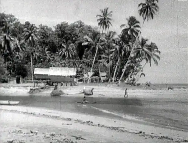 Bougainville