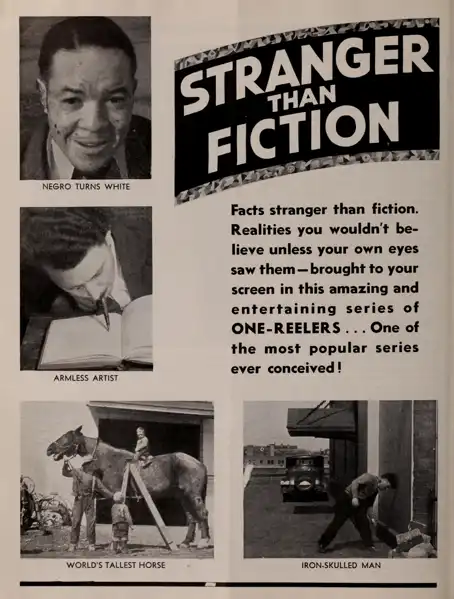 Stranger Than Fiction, #3