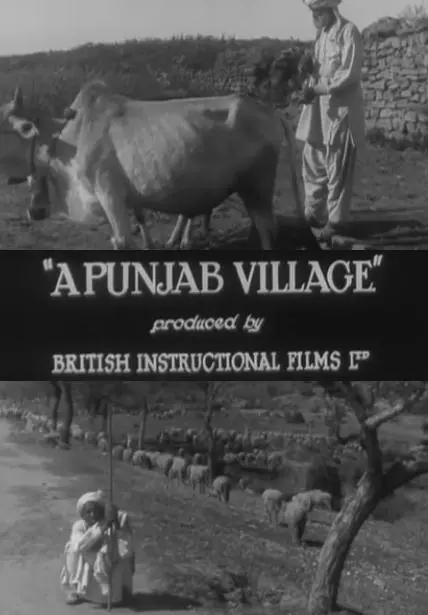 A Punjab Village
